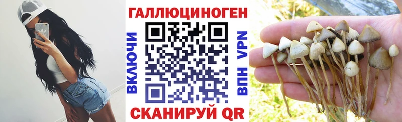 наркотики Болхов Псилоцибиновые грибы Magic Shrooms
